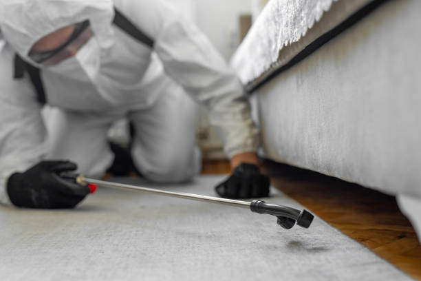 Professional Bed Bug Control technician working in Staunton, VA