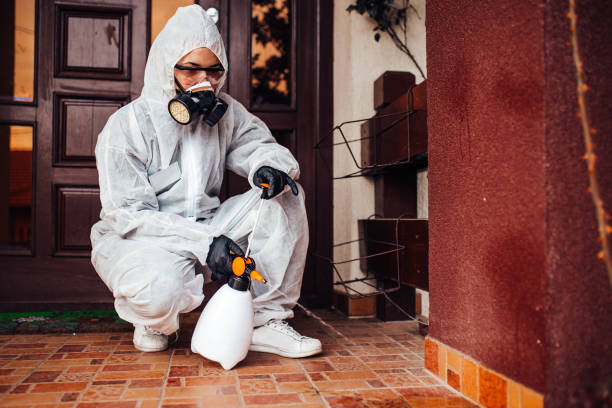 Reliable Bed Bug Control contractor in Staunton, VA by Nex Pest Control