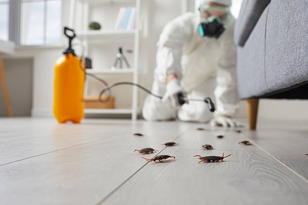 Trusted Bed Bug Control service in Staunton, VA - Nex Pest Control