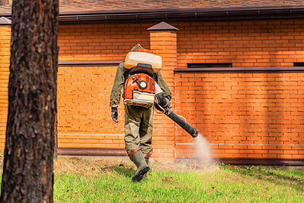 Trusted Rodent Control service in Staunton, VA - Nex Pest Control